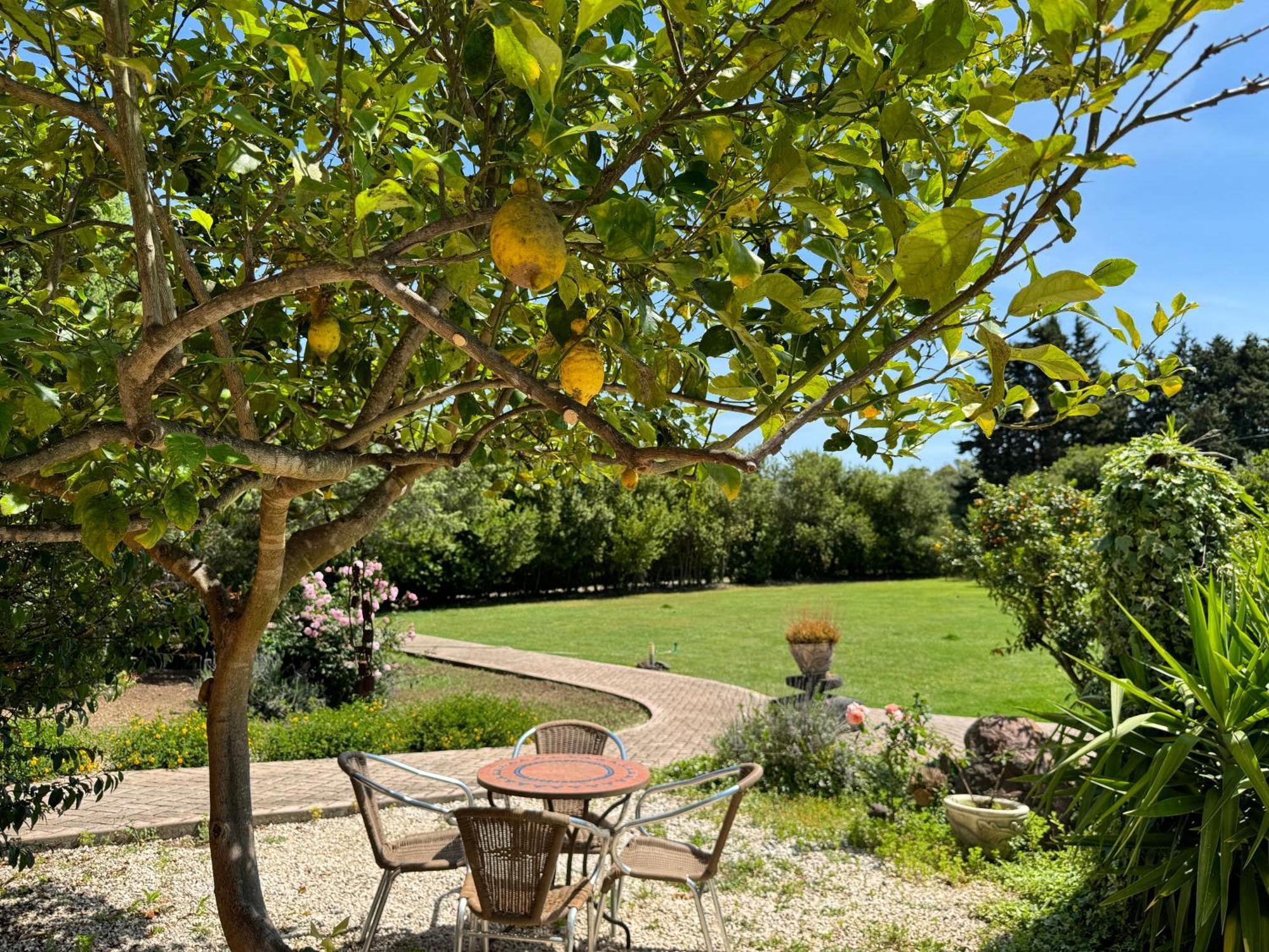 Villa L'Orto à San Vero Milis Extérieur photo